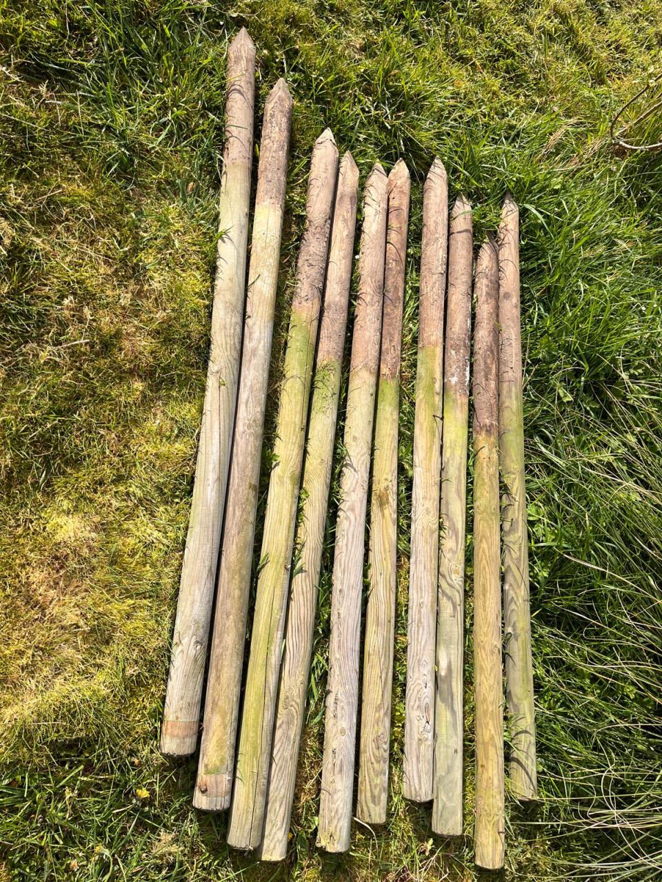 Schapenhek - circa 19 meter