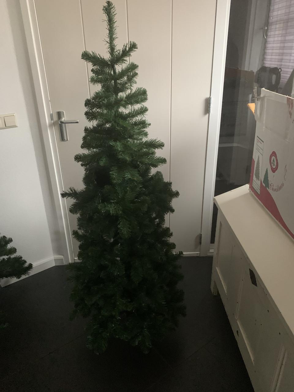 Kerstboom smal 1.55 hoog . Intratuin Triumph tree