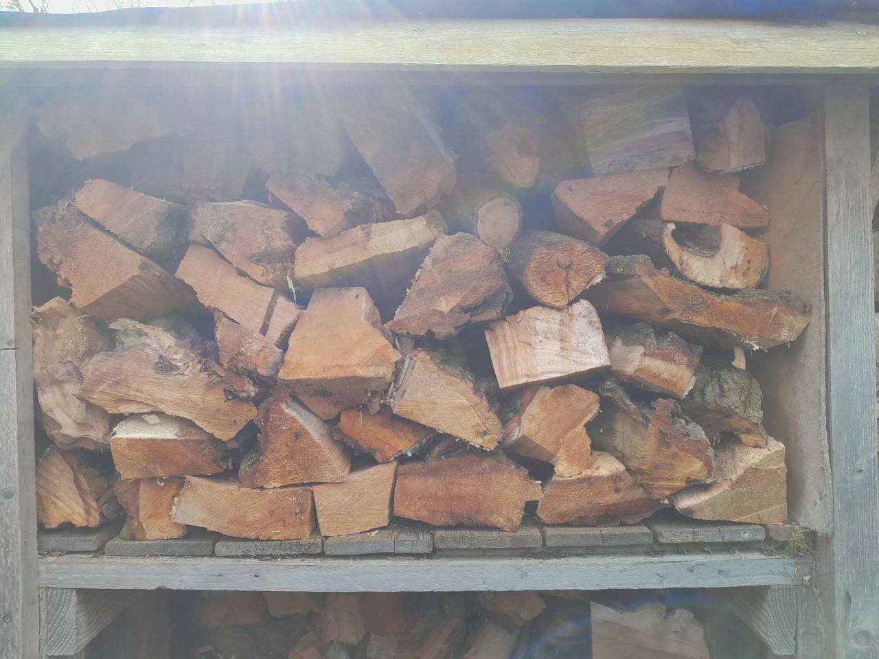 Wilgenhout - grote stukken.