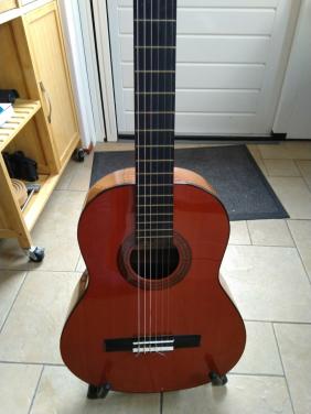 Gitaar