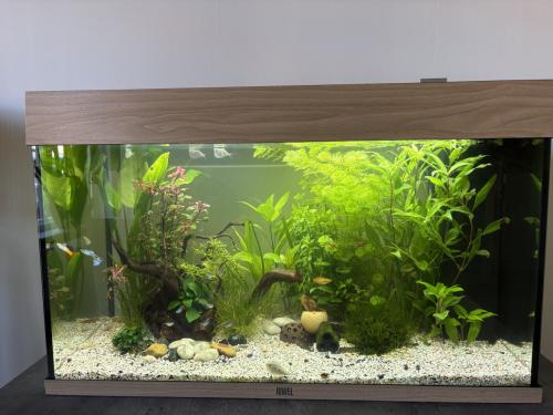 Aquarium rio led 125