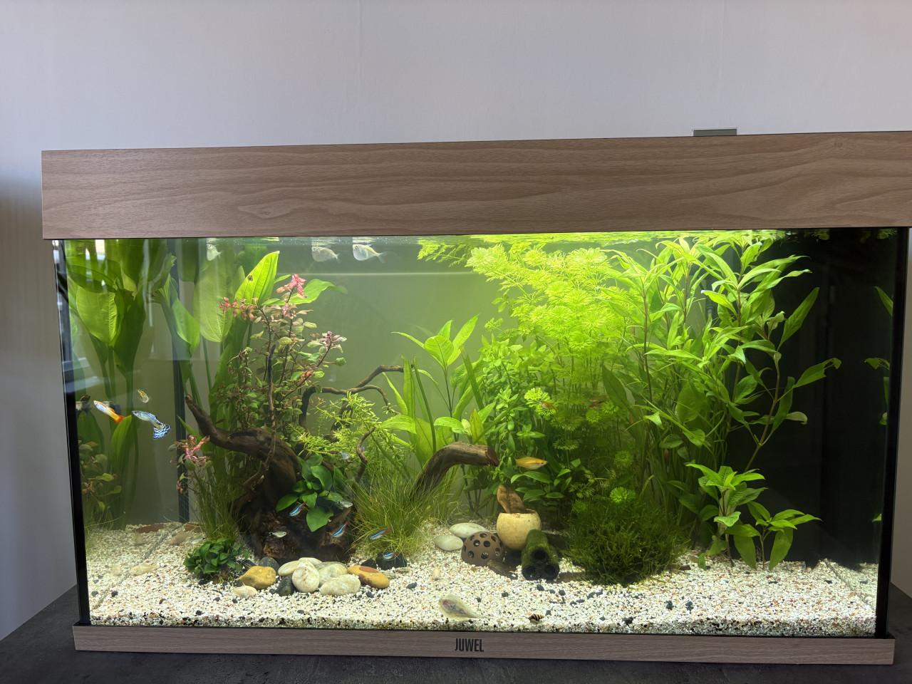 Aquarium rio led 125