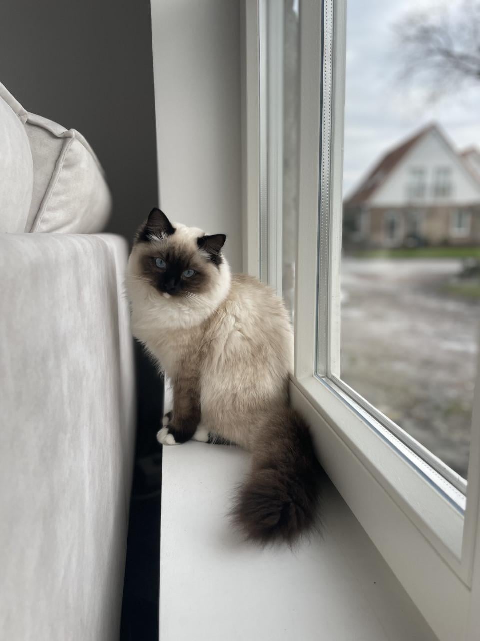 Ted en Nova zijn op zoek naar personeel