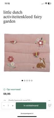 Boxkleed little dutch fairy garden