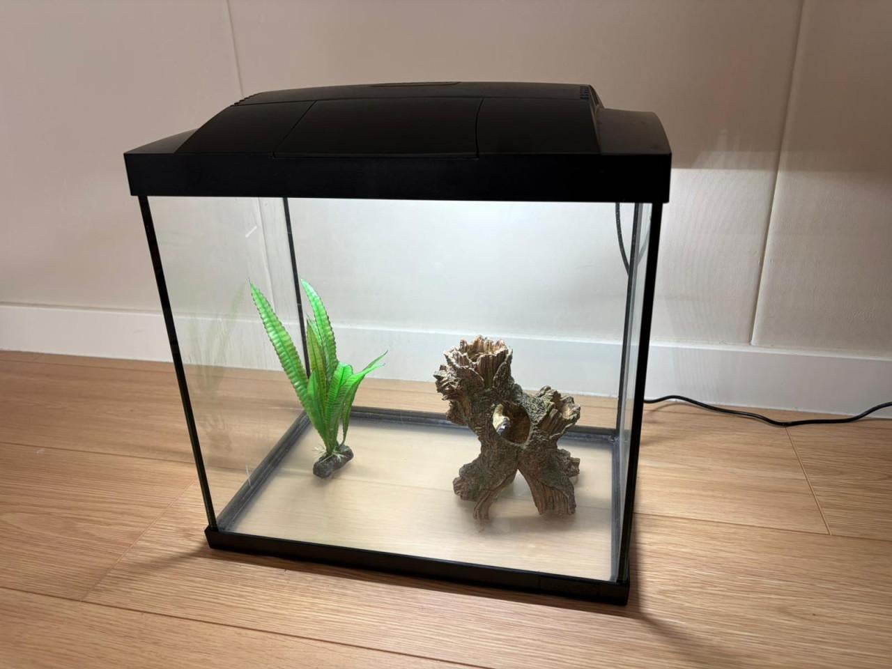 Aquarium Superfish Start 30 met veel extra's! Klaar voor gebruik