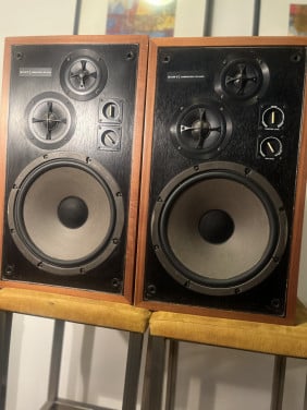 Sony Speakers + gratis versterker