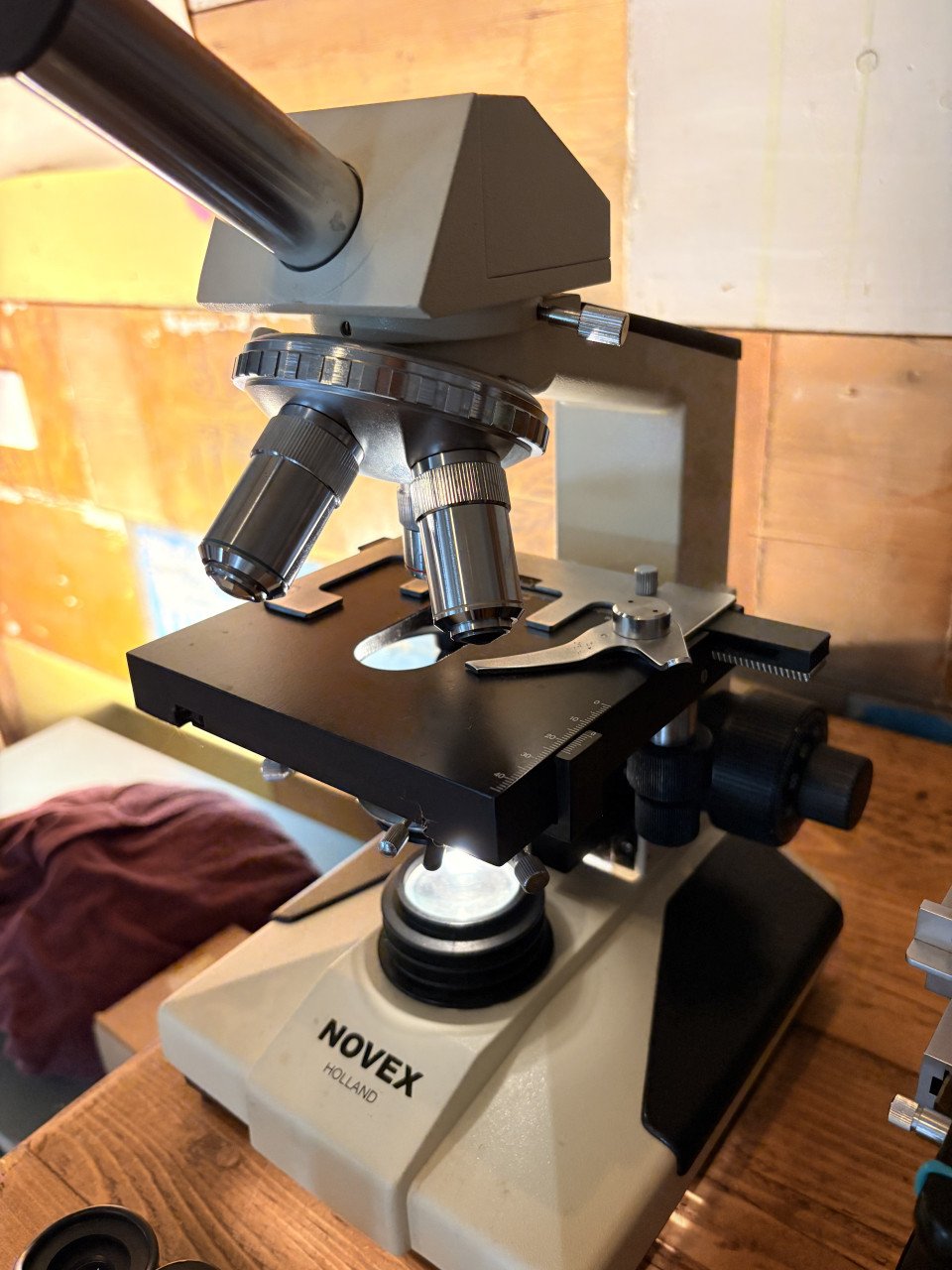 Novex medische microscoop, bonus Olympus Tokyo