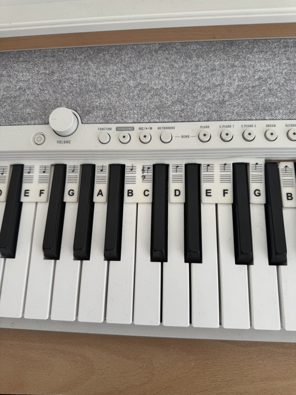 Casio CT-S1 WE Casiotone keyboard wit