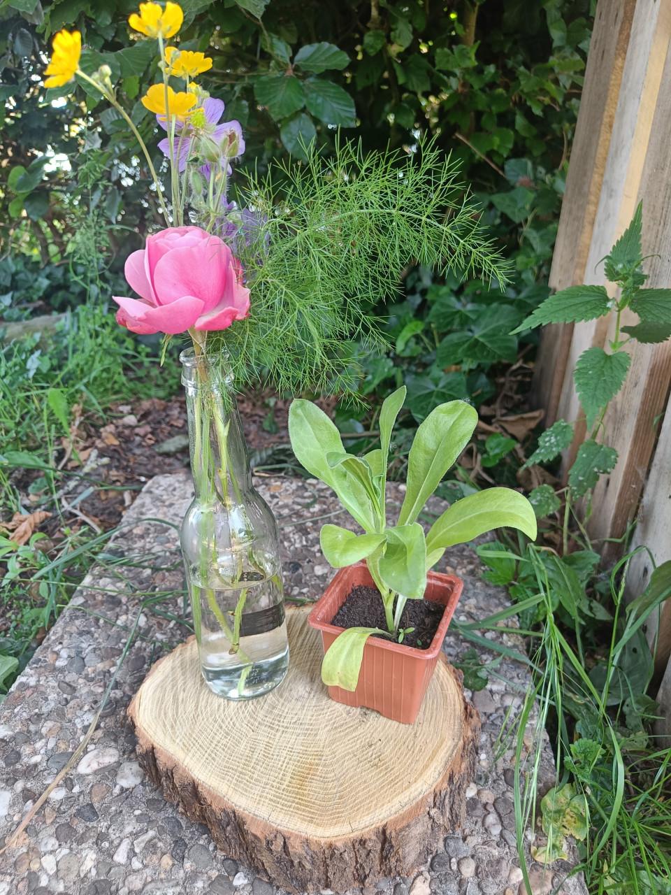 💐 Verse plukboeketjes te koop