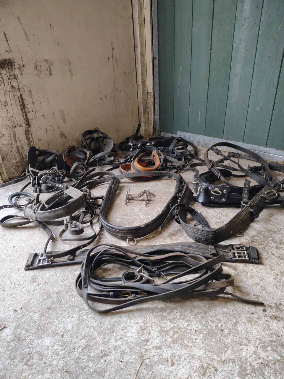 Allerlei mentuigonderdelen