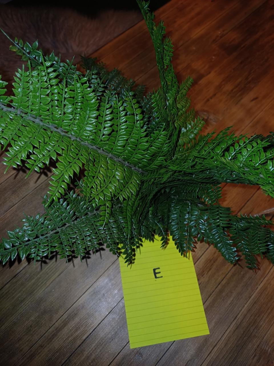 Kunstplanten