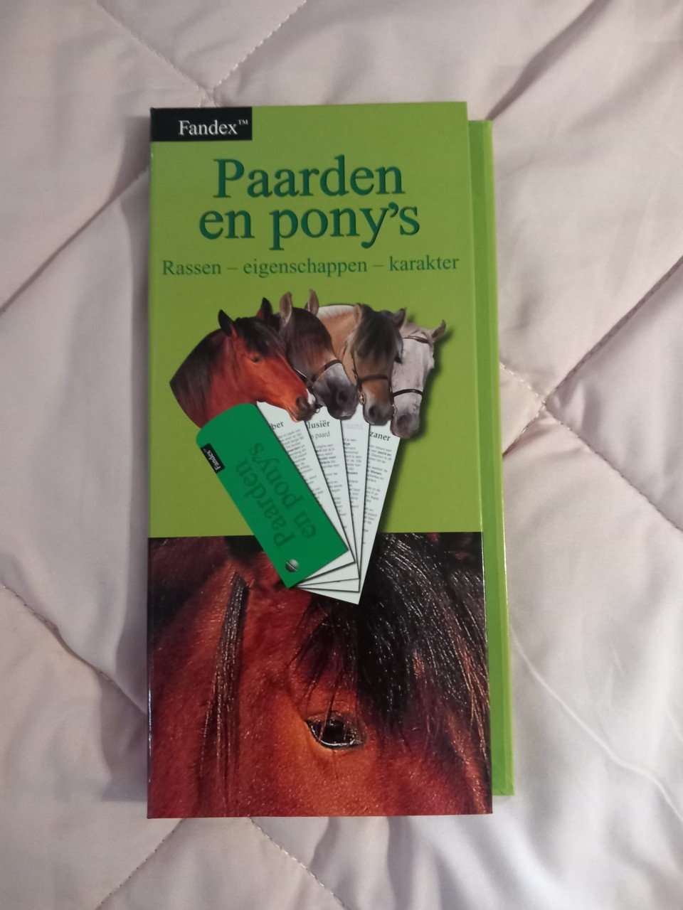 Paardenrassen en.pony's