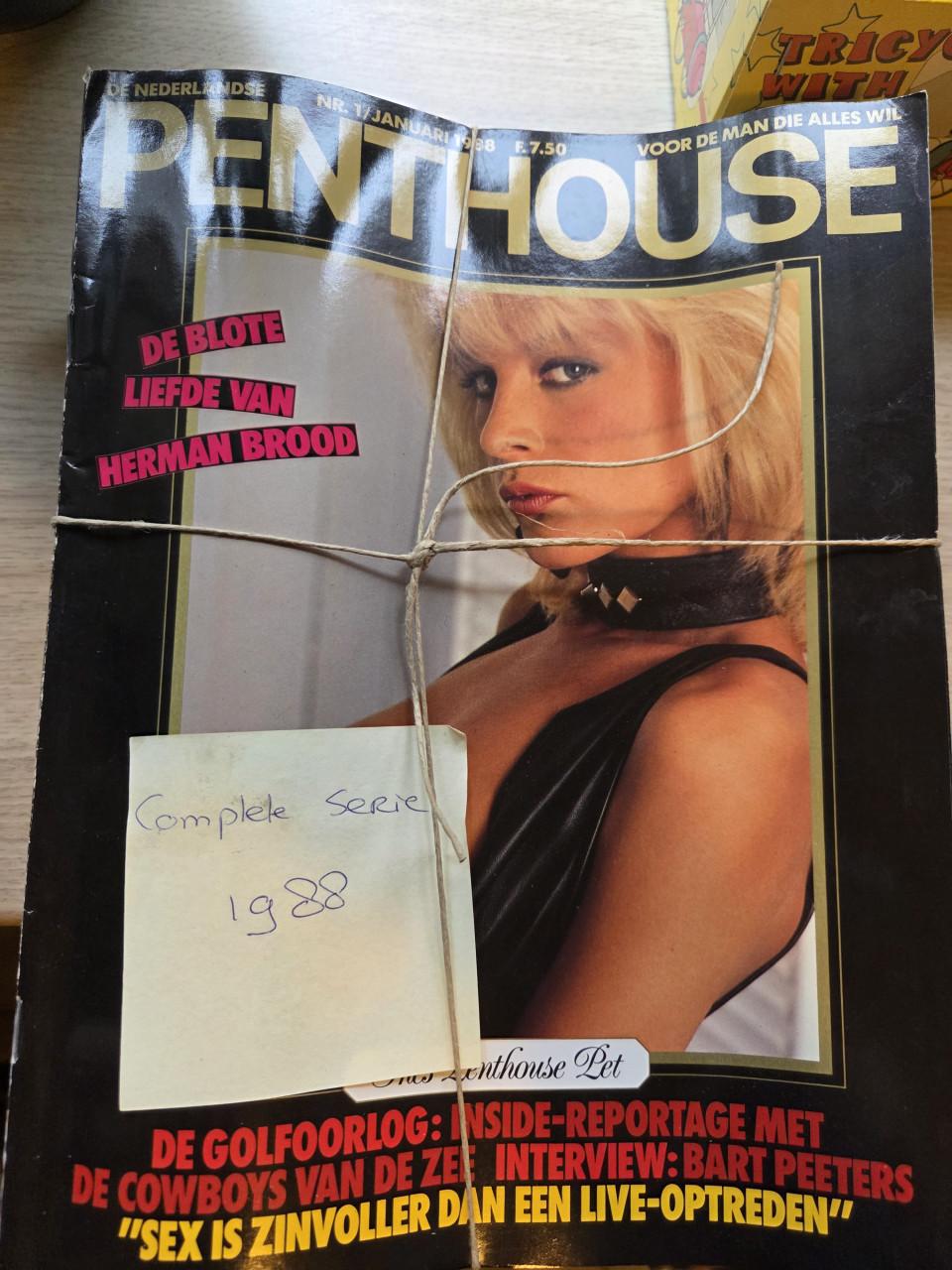 Vintage playboys complete series