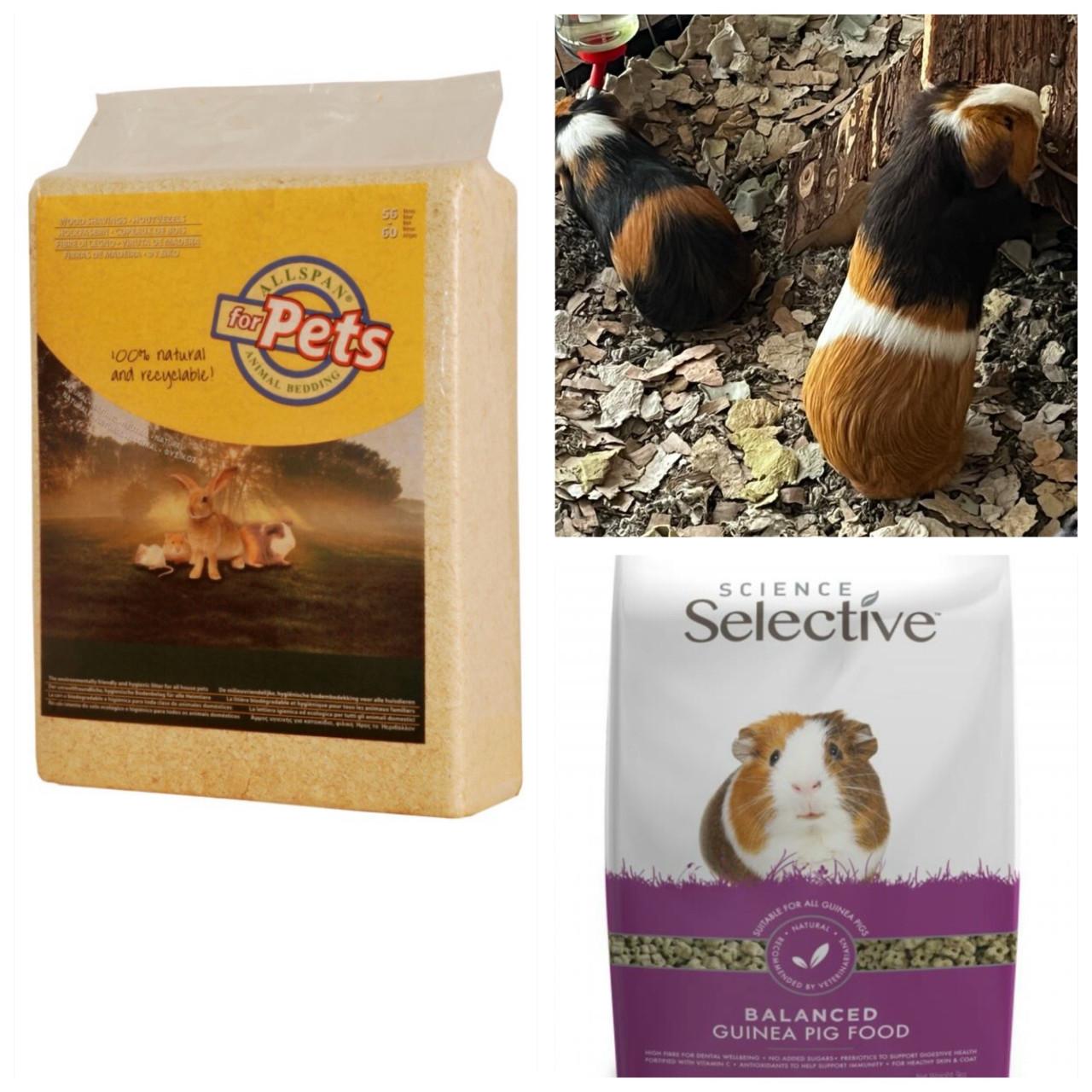 Te koop: Cavia bodembedekking en voer