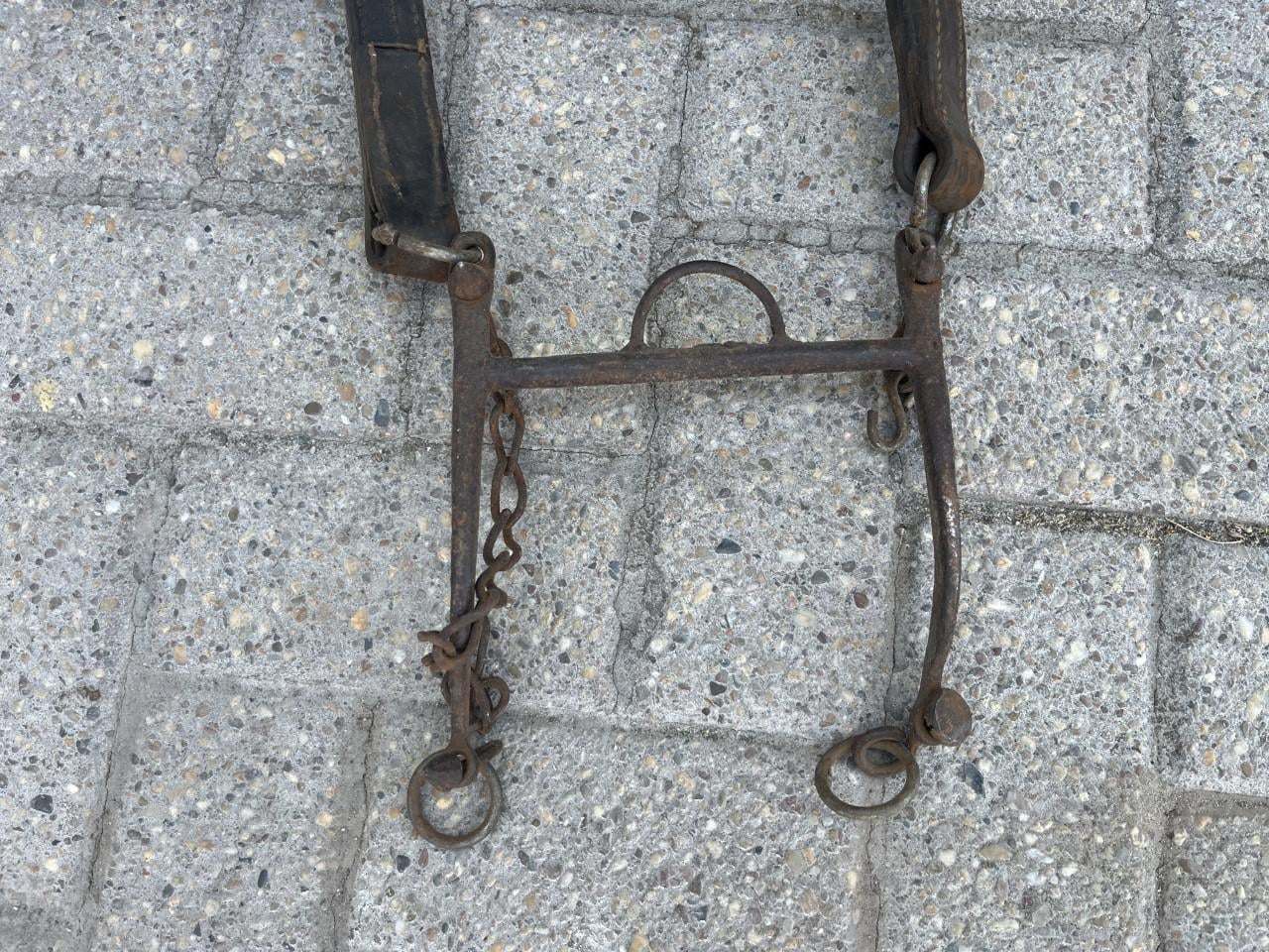 Paardengareel met hoofdstel met bit