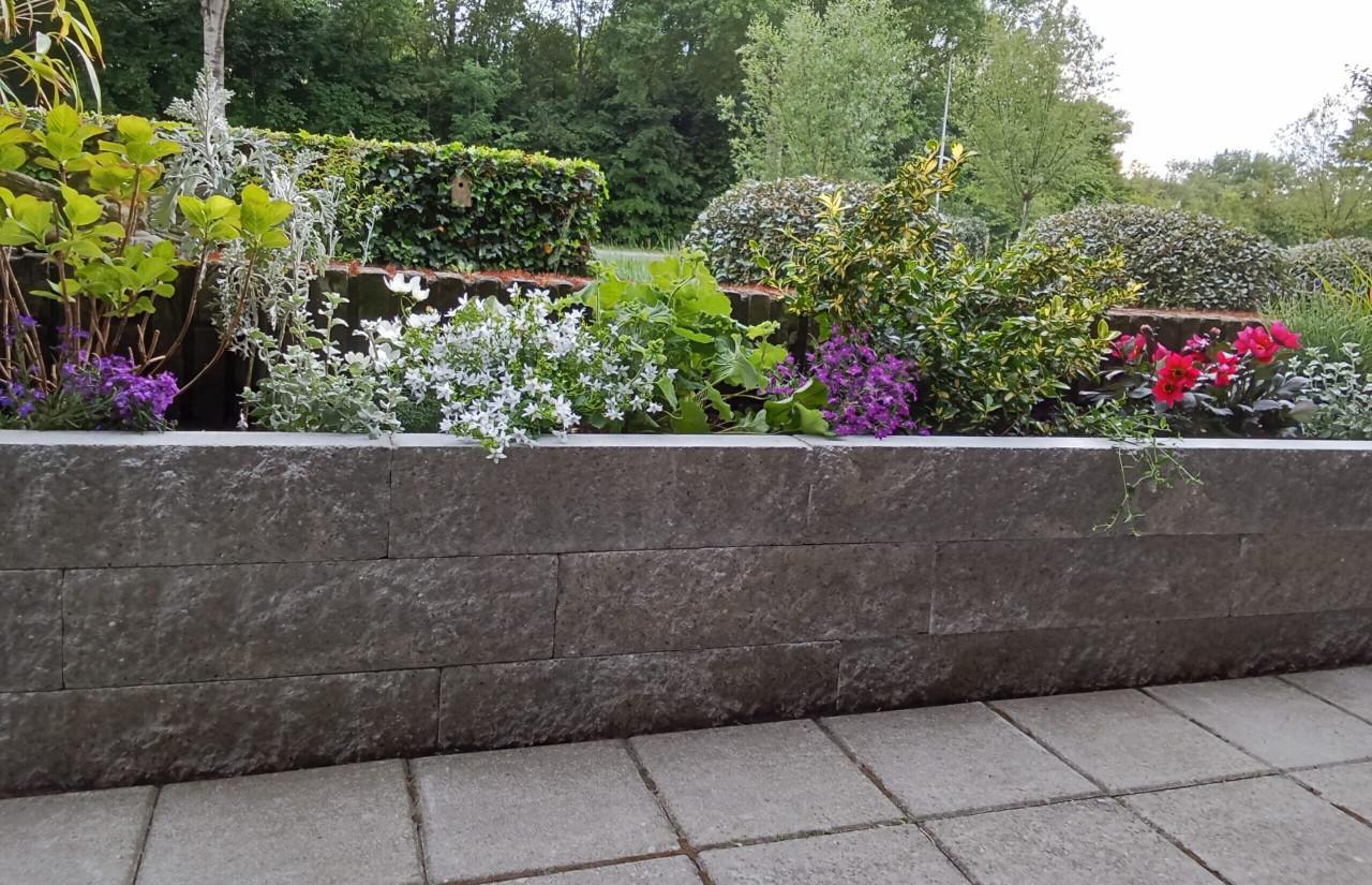 Tuinplannen? Wij helpen je graag!