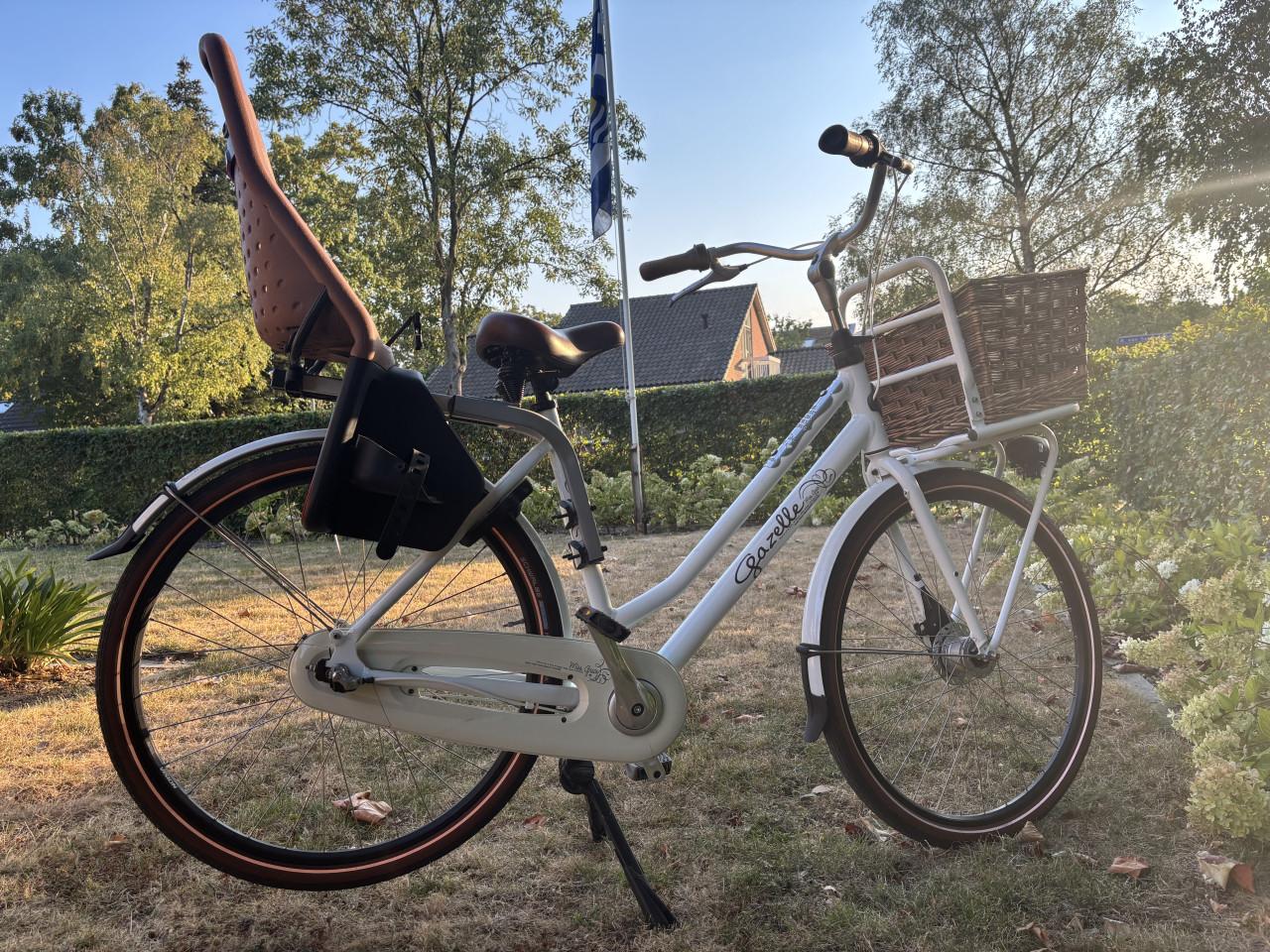 Solide Gazelle miss Grace