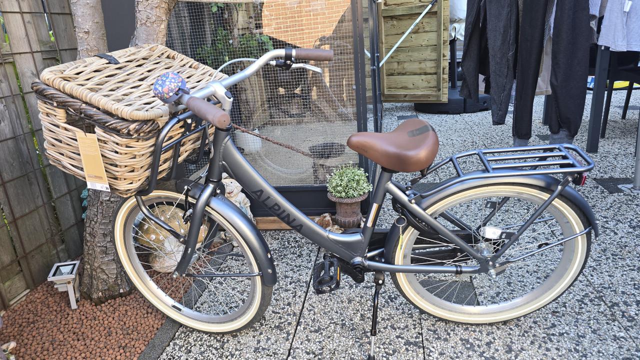 Te koop Alpina 24 inch