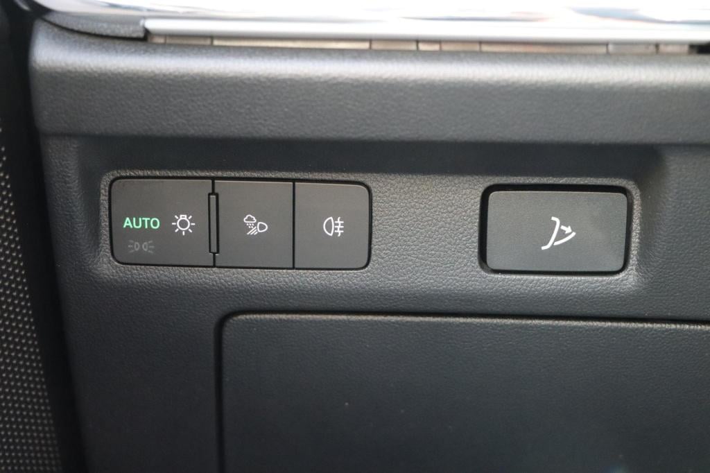 Skoda Enyaq Iv 80 limited edition plus 204pk