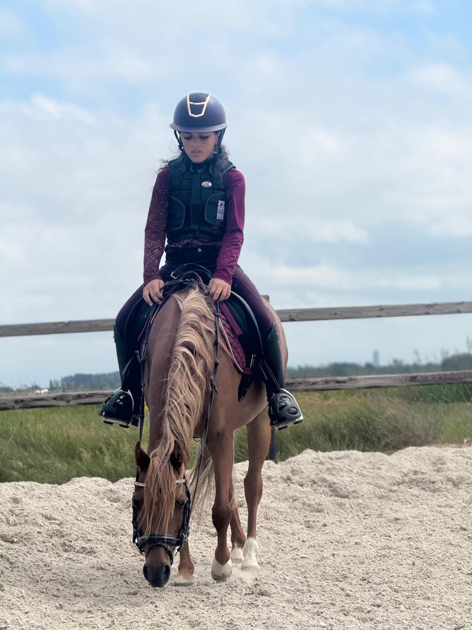 8 jarige B-welsh pony