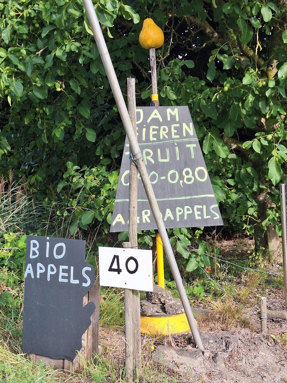 Nieuwe oogst fruit