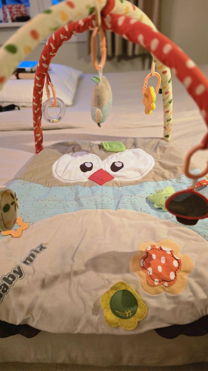 Baby gym