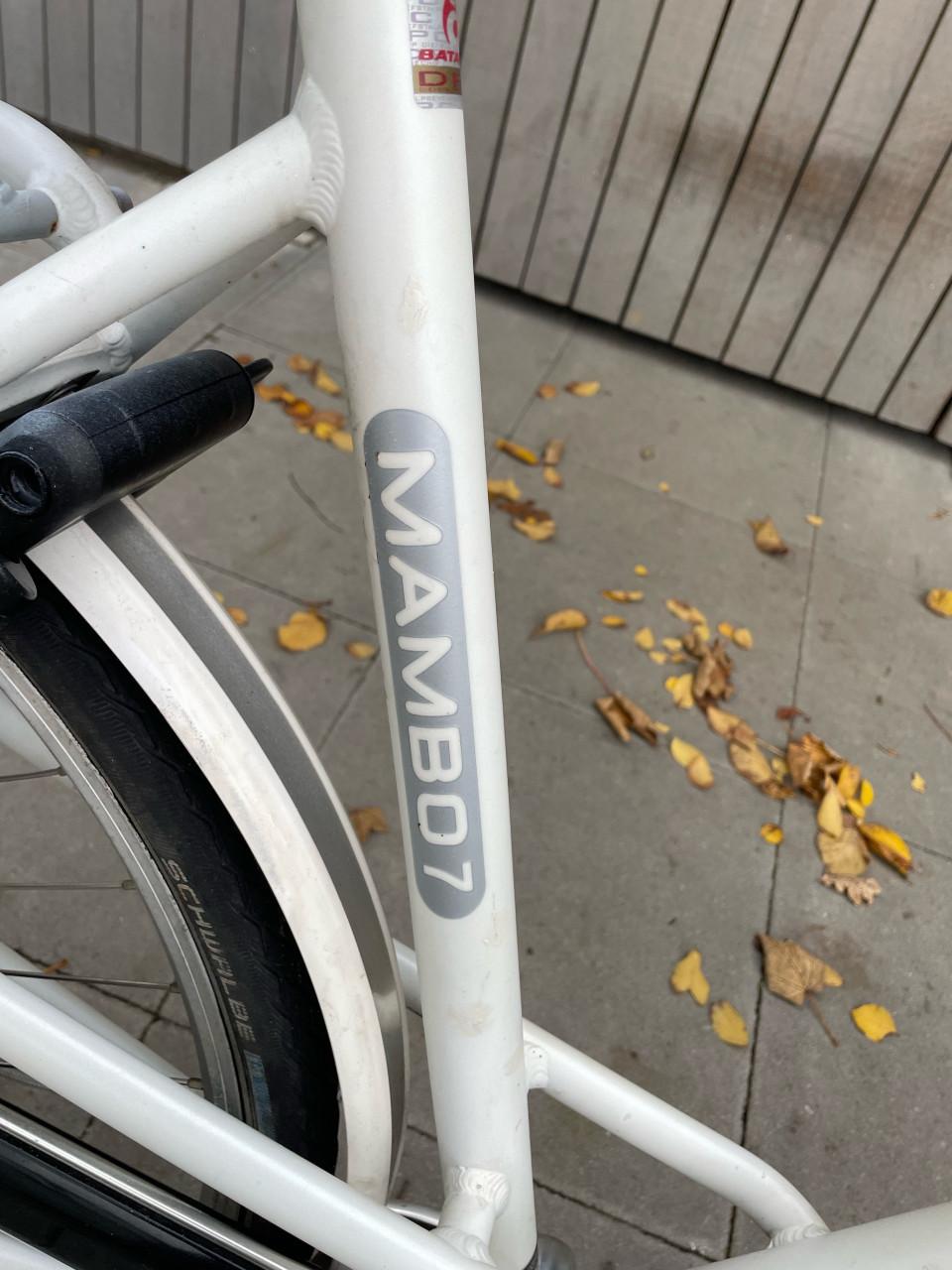 Damesfiets, batavus mambo.