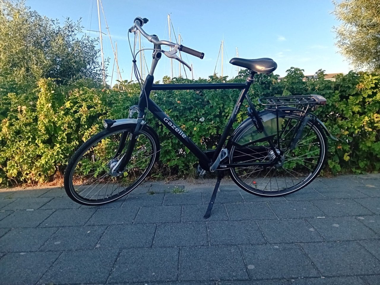 Gazelle Orange plus XL