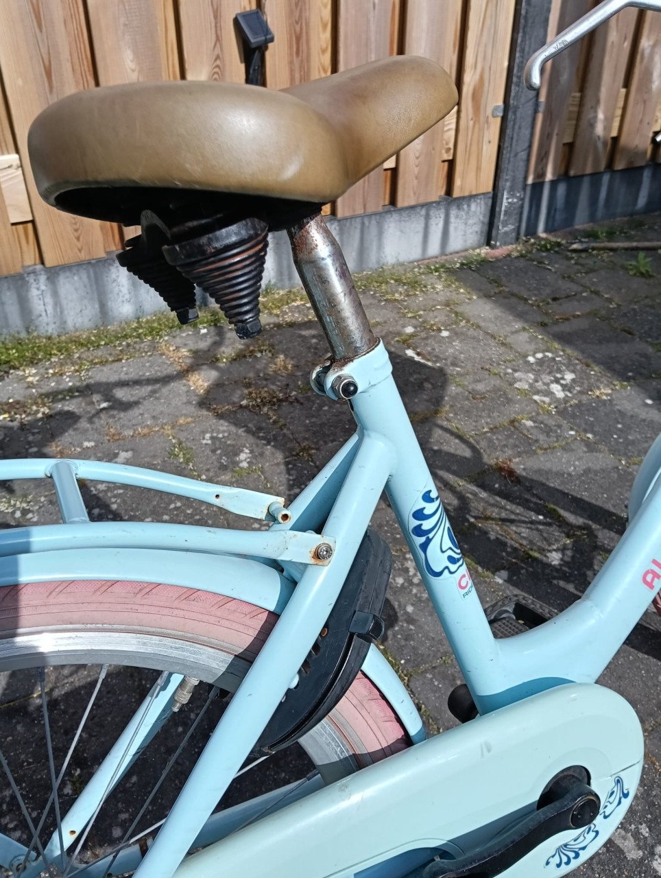 Meisjesfiets Alpina 22 inch