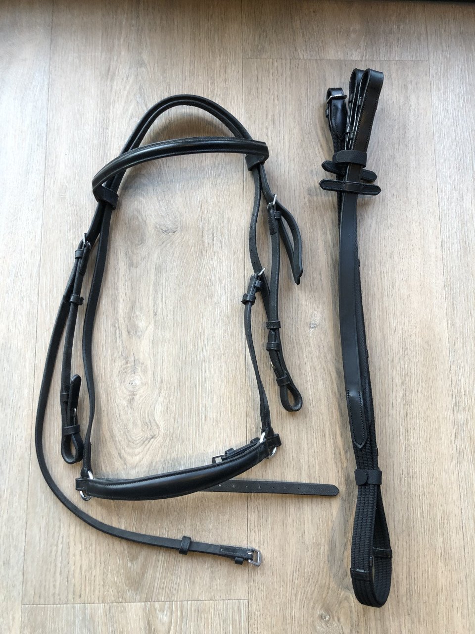 Hoofdstel Harry’s Horse
