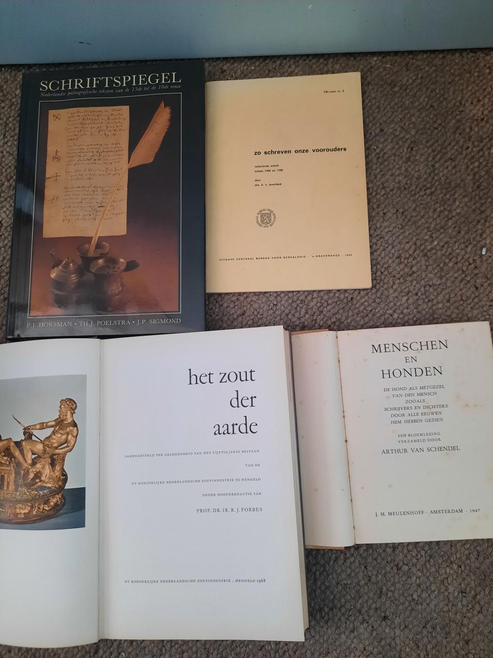 Partij Nederlandse romans