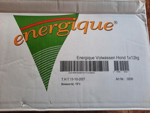 Energique vers vleesmaaltijd volwassen hond . 10 kilo