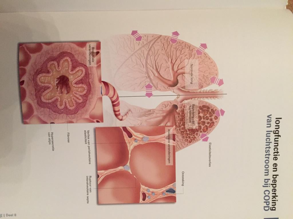 Te koop; boeken respiratoire atlas 3 delen medisch verpleging POH arts