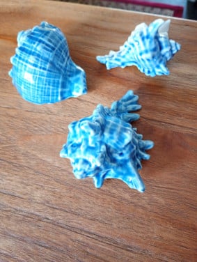 Decoratieve schelpen. 3 stuks