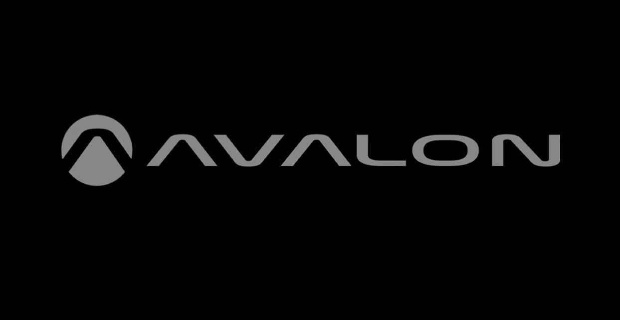 Nieuwe Avalon 2025 Cargo Herenfiets 53cm Remnaaf 3 versnellingen