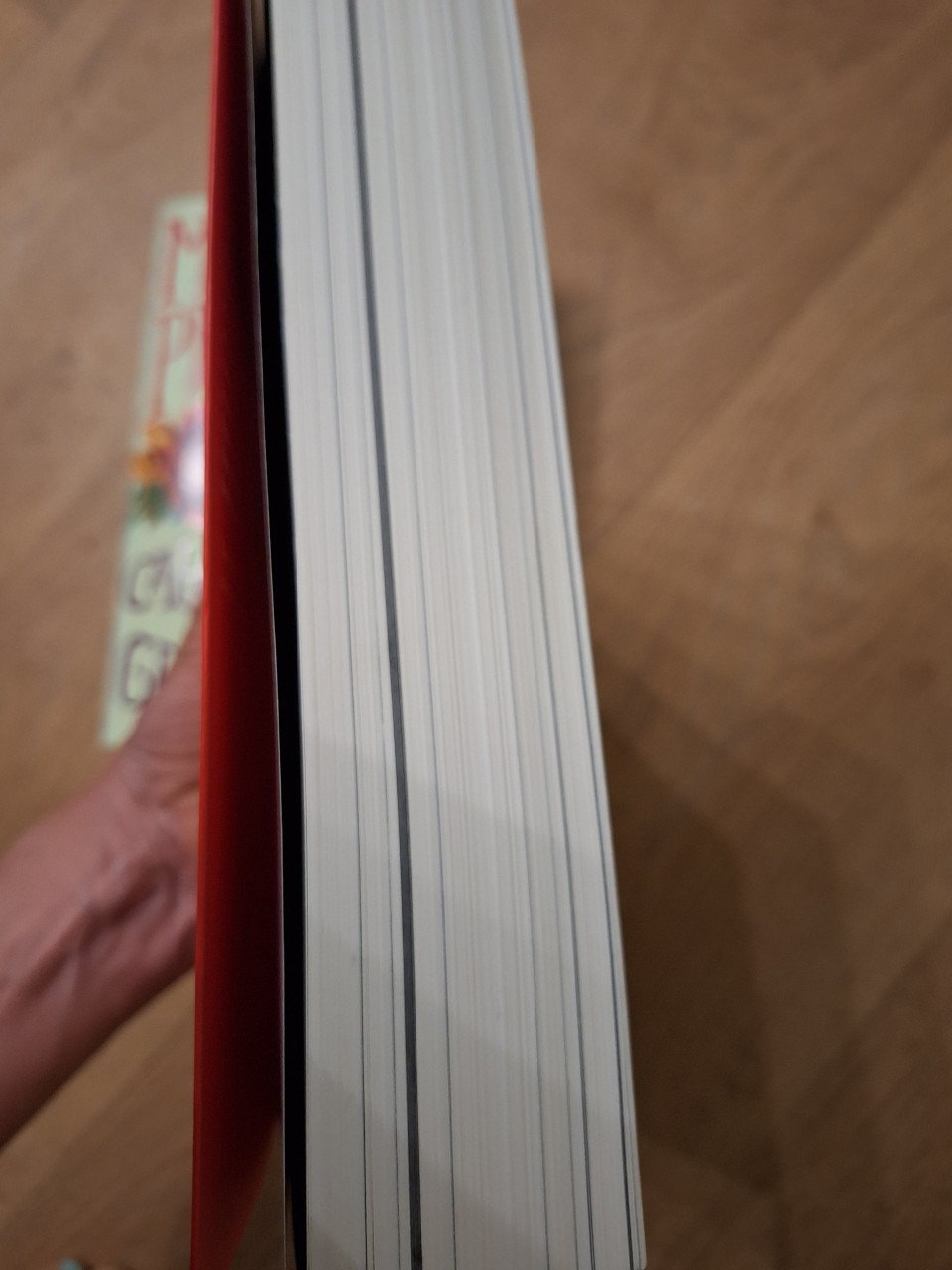 2 boeken Marischa Pessl