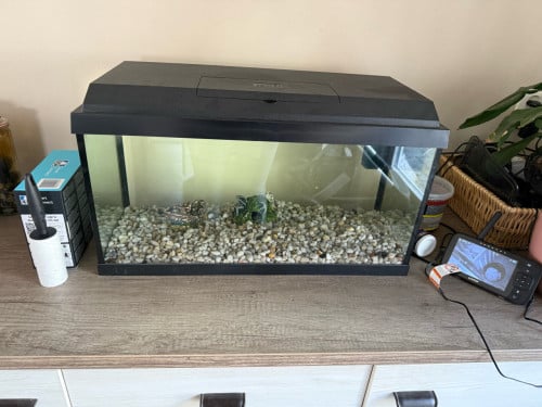 Aquarium