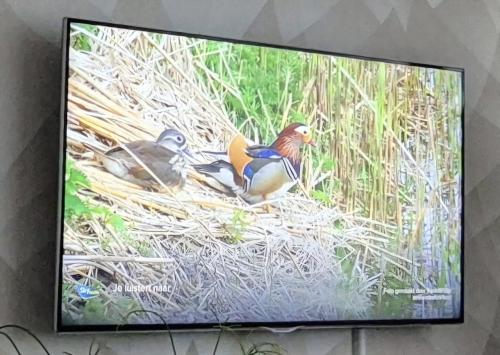 Samsung Led TV 46 inch