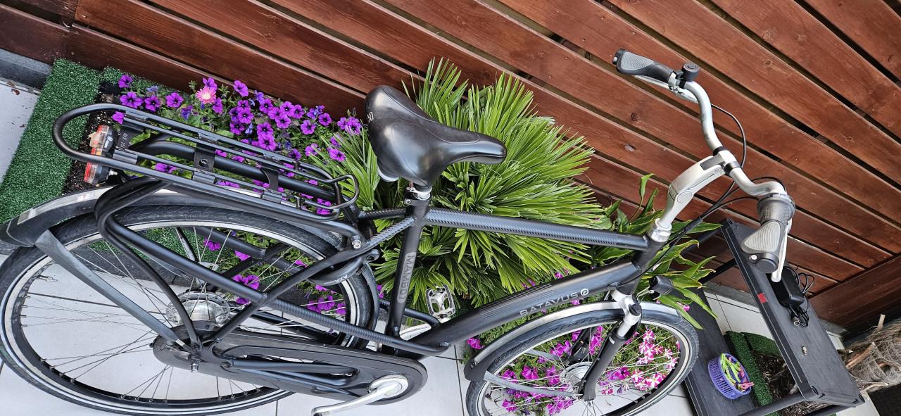 Batavus  Mambo Herenfiets