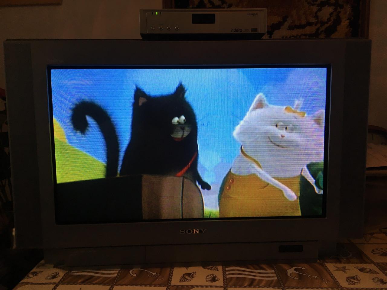 SONY Trinitron 100 HZ kleur TV -kastmodel