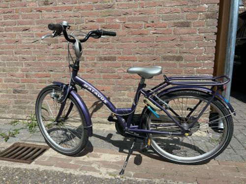 Meisjesfiets 24 inch