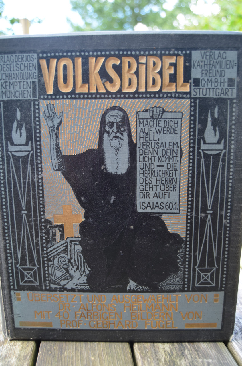 Duitse Volksbijbel / Deutsche Volksbibel 1912 mooie illustraties