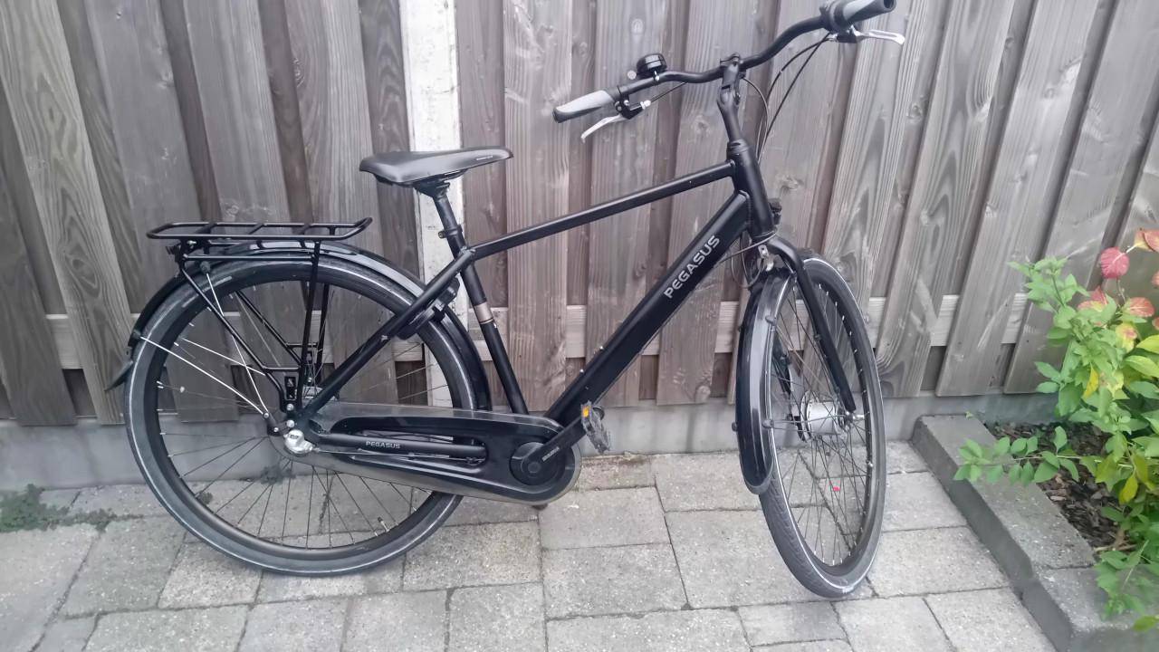 Pegasus Lucca herenfiets puber