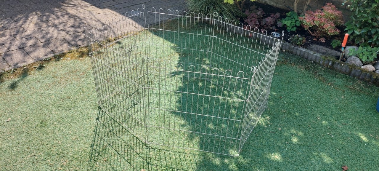 Buitenren voor (huis)dieren