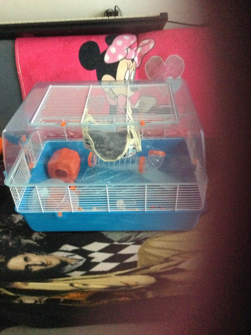 Hamster kooi met toebehoren