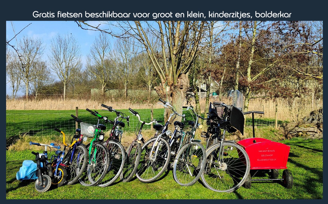 Vakantiehuis Deltahof Ellewoutsdijk, Zuid-Beveland, Zeeland