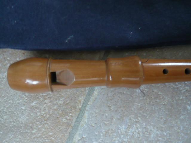 2 Z.G.A.N. BLOKFLUITEN AURA EN ZAMIR MET HOES