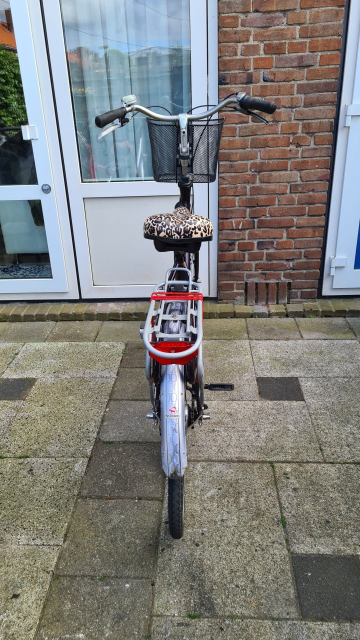 Dames fiets BATAVUS met 6 versnellingen-28 inch- Fr.maat 57 inch