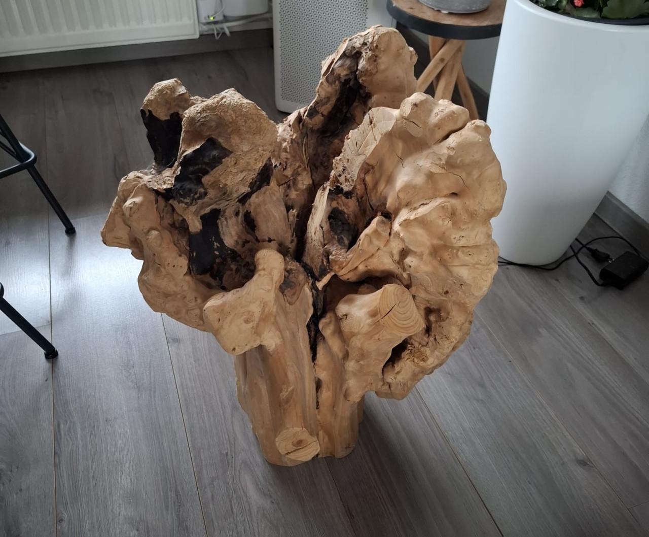 Decoratie: Massieve olijfstronk