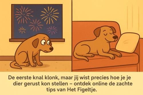 Homeopathie voor dieren